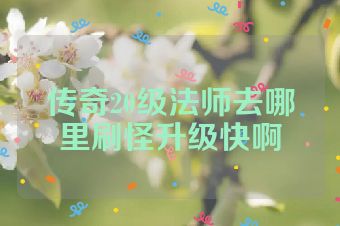 传奇20级法师去哪里刷怪升级快啊