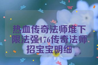 热血传奇法师堆下限法强176传奇法师招宝宝明细