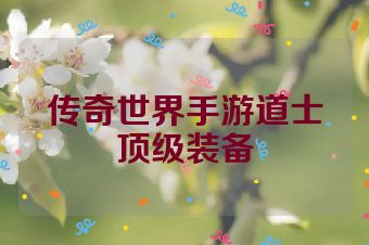 传奇世界手游道士顶级装备