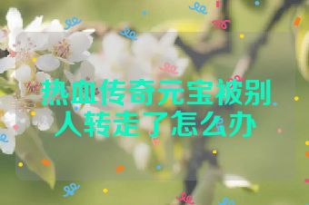 热血传奇元宝被别人转走了怎么办