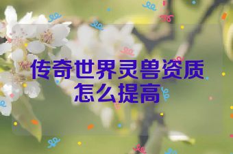 传奇世界灵兽资质怎么提高