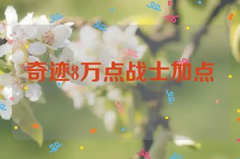 奇迹8万点战士加点
