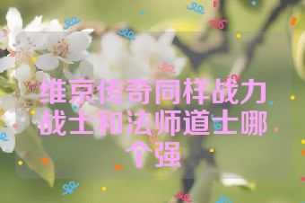 维京传奇同样战力战士和法师道士哪个强