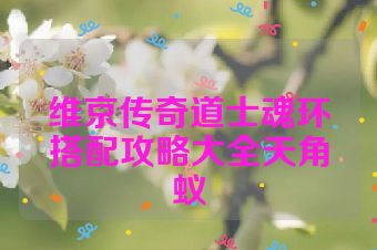维京传奇道士魂环搭配攻略大全天角蚁