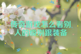 传奇游戏怎么看别人的级别跟装备