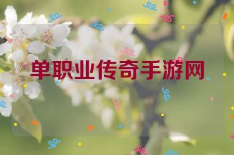 单职业传奇手游网