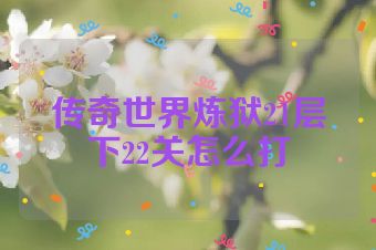 传奇世界炼狱21层下22关怎么打