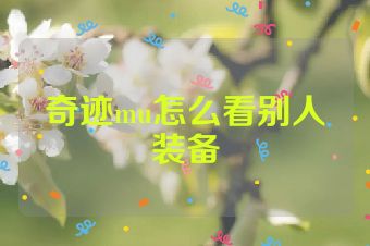 奇迹mu怎么看别人装备