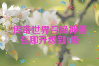 传奇世界召唤神兽在哪升级到9级