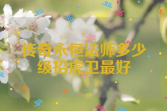 传奇永恒法师多少级招虎卫最好