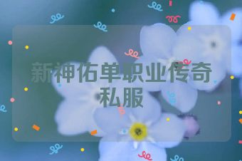 新神佑单职业传奇私服