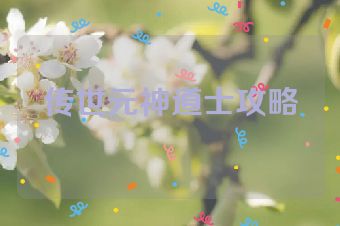 传世元神道士攻略