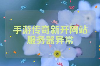手游传奇新开网站服务器异常