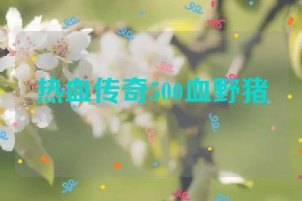 热血传奇500血野猪