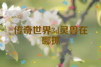 传奇世界3d灵兽在哪抓