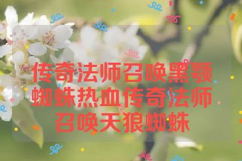 传奇法师召唤黑颚蜘蛛热血传奇法师召唤天狼蜘蛛