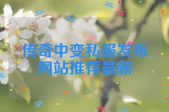 传奇中变私服发布网站推荐最新