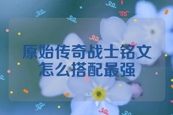 原始传奇战士铭文怎么搭配最强