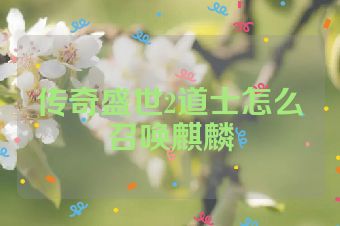 传奇盛世2道士怎么召唤麒麟