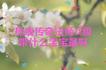 热血传奇法师18级带什么宝宝最好