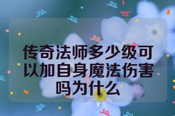传奇法师多少级可以加自身魔法伤害吗为什么