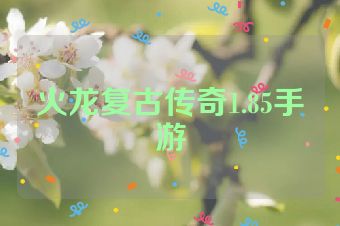 火龙复古传奇1.85手游