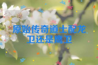 原始传奇道士配龙卫还是鹰卫