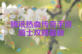 腾讯热血传奇手游道士攻略最新