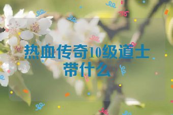热血传奇10级道士带什么
