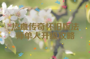 热血传奇怀旧版法师单人升级攻略