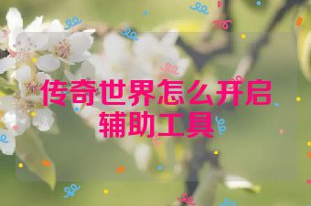 传奇世界怎么开启辅助工具