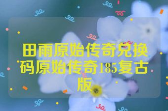 田雨原始传奇兑换码原始传奇185复古版