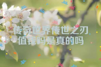 传奇世界传世之刃值钱吗是真的吗