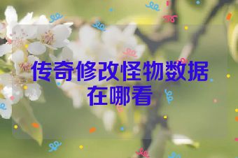 传奇修改怪物数据在哪看