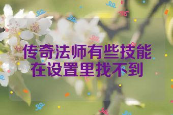 传奇法师有些技能在设置里找不到