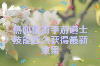 热血传奇手游道士技能怎么获得最新效果