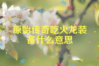 原始传奇吃火龙装备什么意思