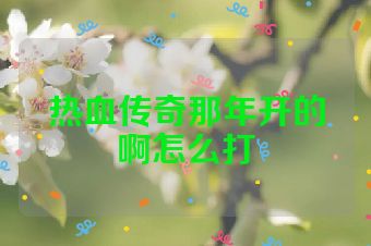 热血传奇那年开的啊怎么打