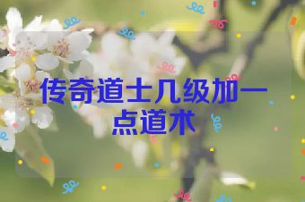 传奇道士几级加一点道术