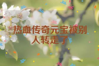 热血传奇元宝被别人转走了