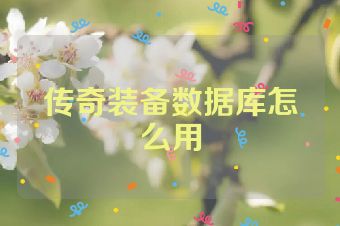 传奇装备数据库怎么用