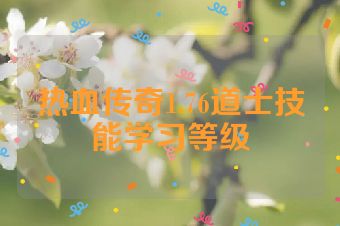 热血传奇1.76道士技能学习等级