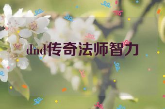 dnd传奇法师智力