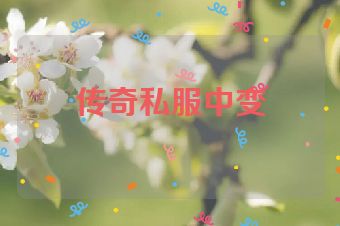 传奇私服中变