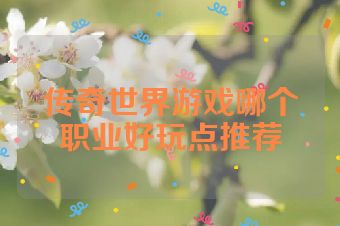 传奇世界游戏哪个职业好玩点推荐