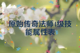 原始传奇法师4级技能属性表