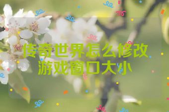 传奇世界怎么修改游戏窗口大小