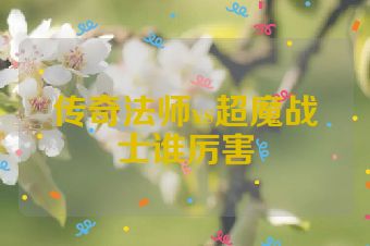 传奇法师vs超魔战士谁厉害