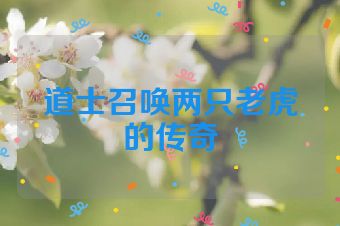 道士召唤两只老虎的传奇