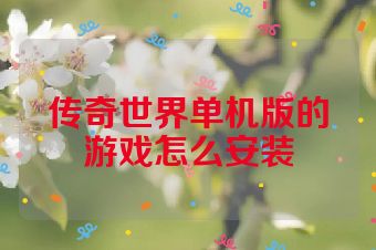 传奇世界单机版的游戏怎么安装
